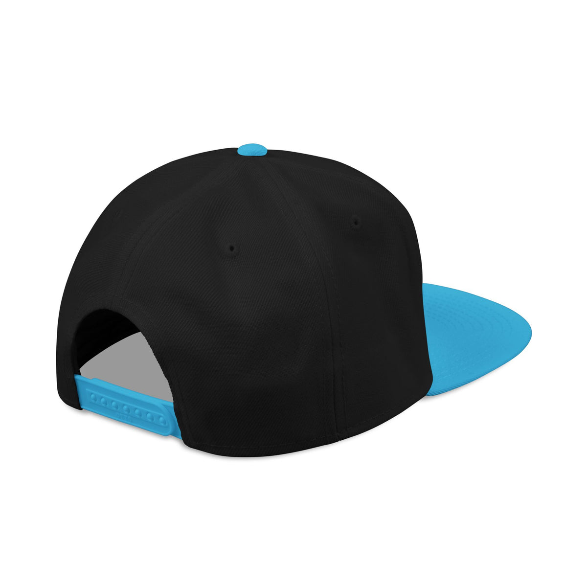StarDog Global Snapback Hat