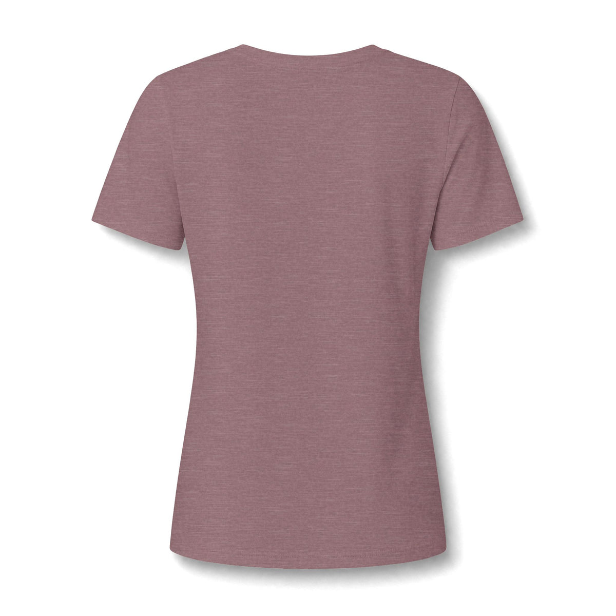 Stardog Global Women’s Relaxed V-Neck T-Shirt