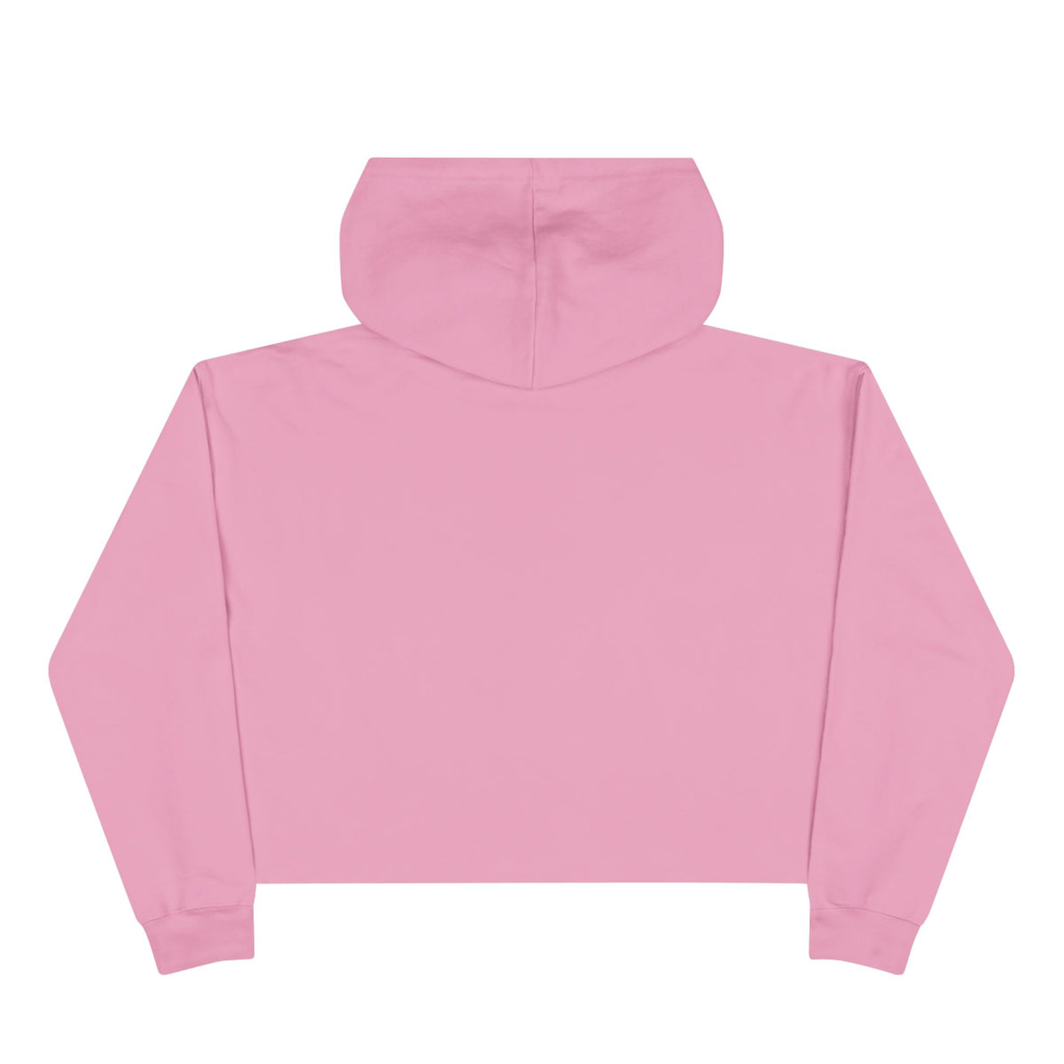 Stardog Global Cropped Women's Hoodie