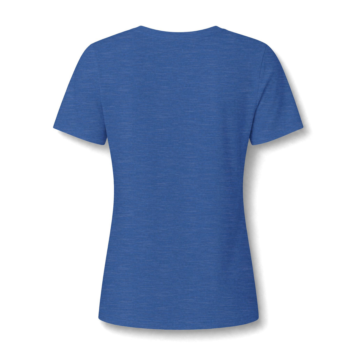 Stardog Global Women’s Relaxed V-Neck T-Shirt